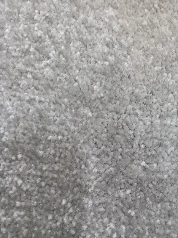 پالاز موکت نو|موکت|کبودرآهنگ, |دیوار