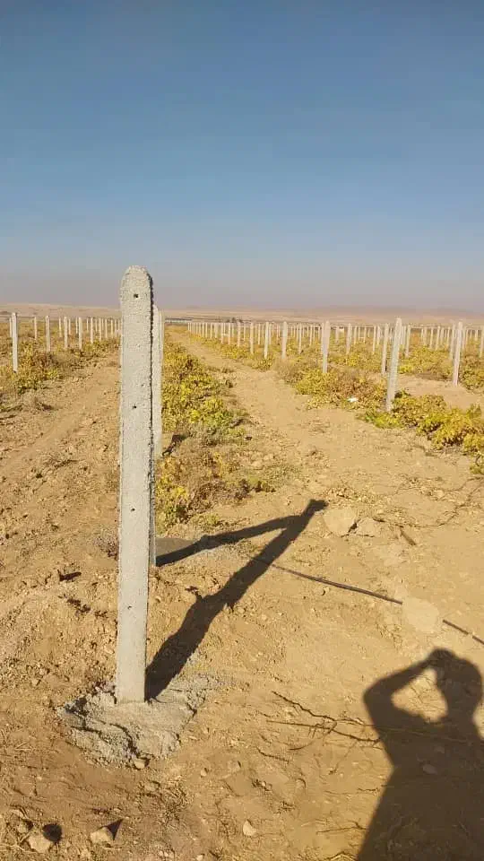 فنس کشی وداربست باغات بابهترین قیمت وکیفیت - حیدری|خدمات باغبانی و درختکاری|تاکستان, |دیوار