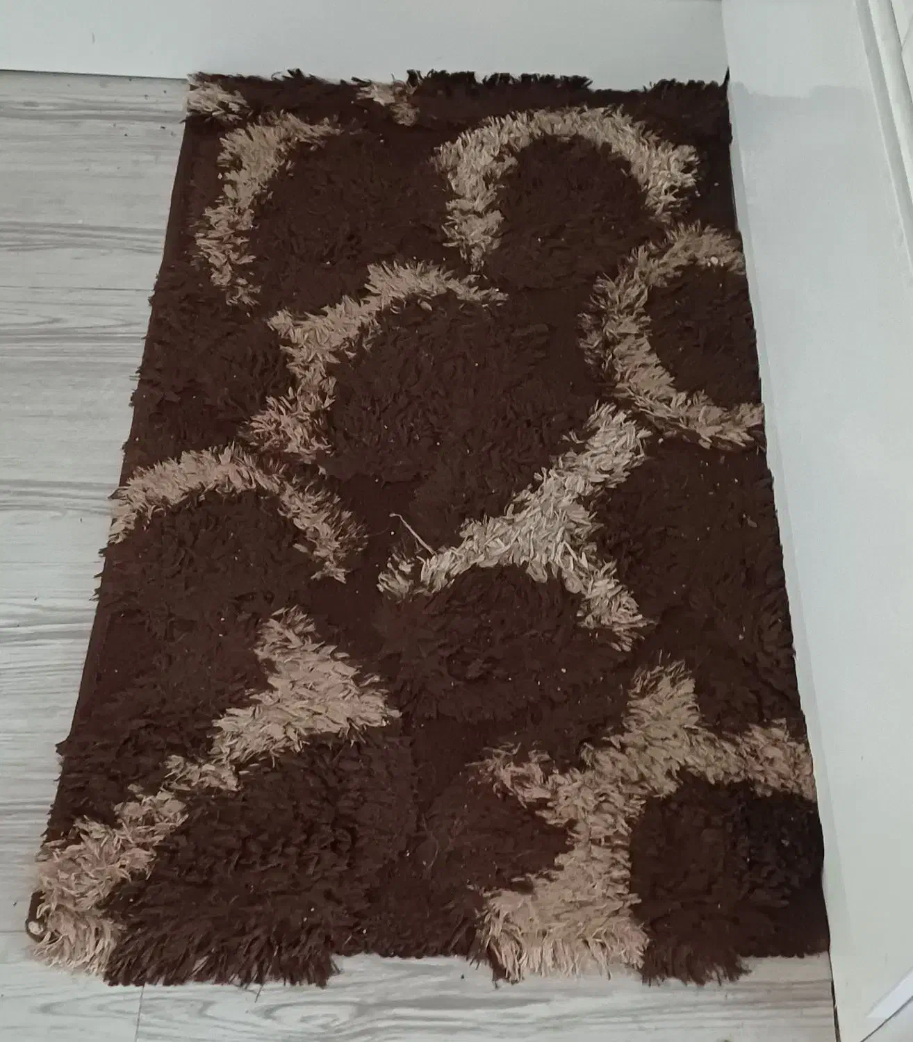 تعدادی پادری|پادری|شیراز, ملاصدرا|دیوار