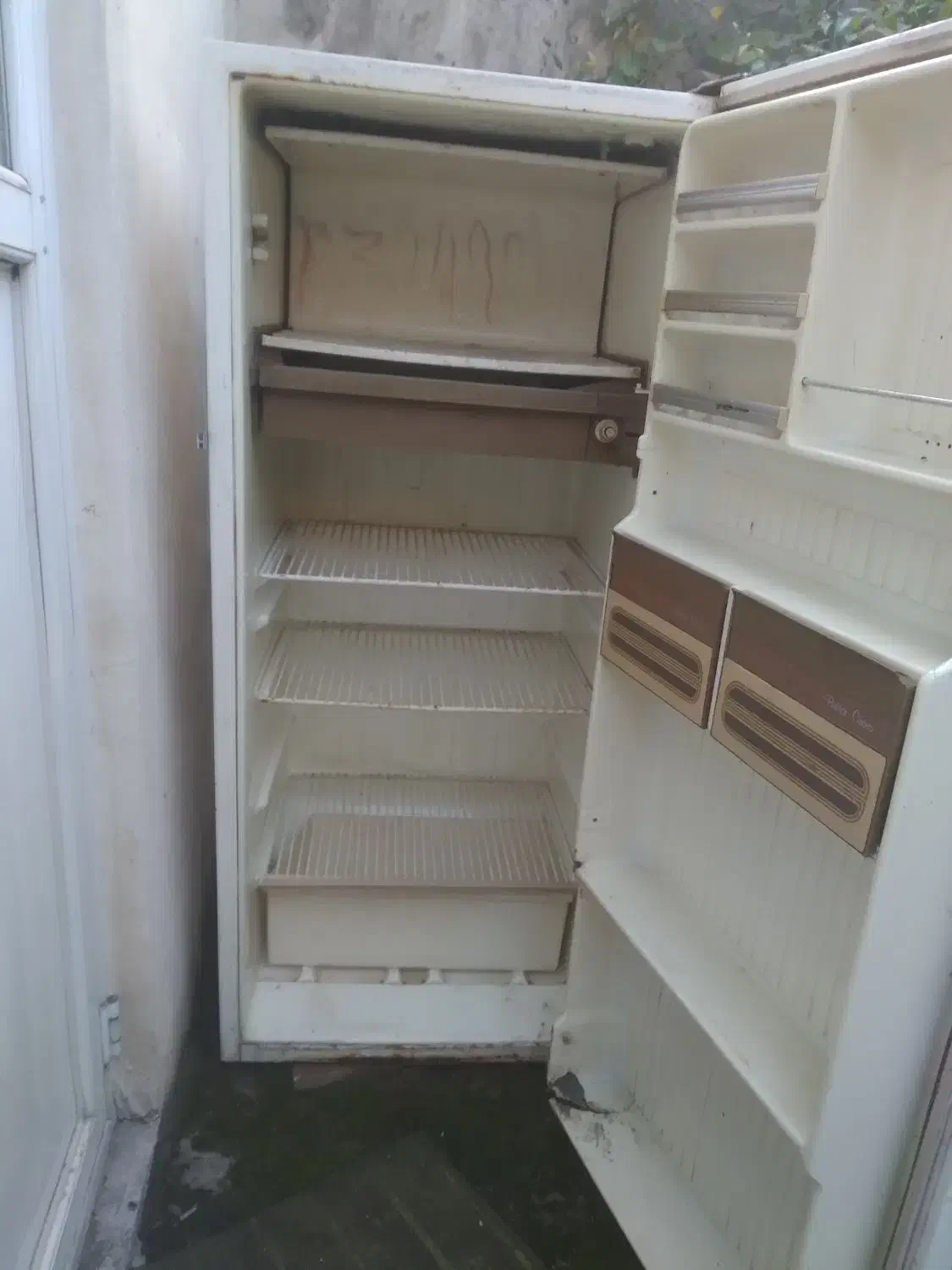 یخچال کوچک|یخچال و فریزر|رشت, دیانتی|دیوار