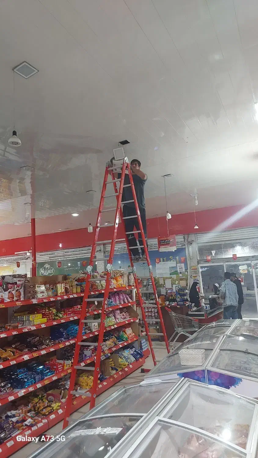 سمپاشی منازل و اماکن عمومی|خدمات نظافت|سیرجان, |دیوار