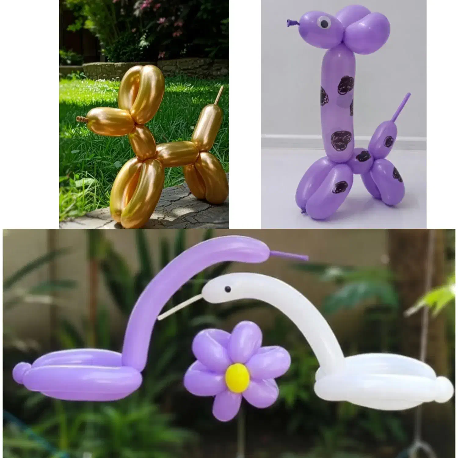 بادکنک|اسباب‌بازی بچه|مشهد, حجت|دیوار