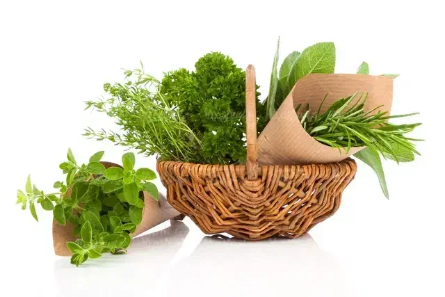 تمامی وسایل مغازه سبزیجات|فروشگاه و مغازه|شهرضا, |دیوار