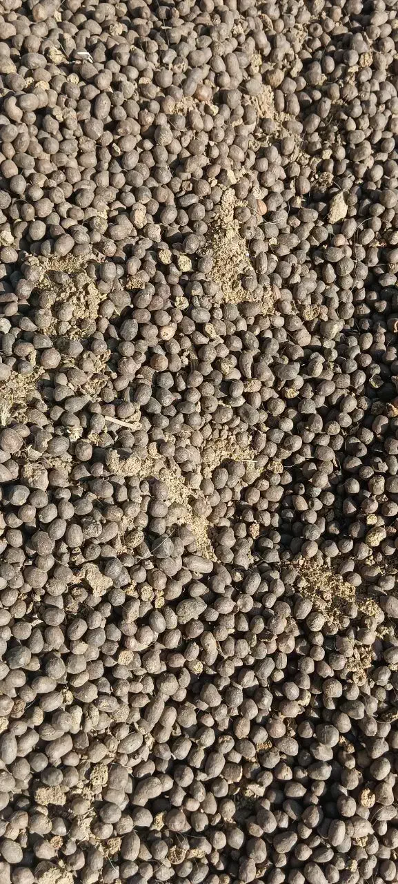 کودگوسفندی/درخت/پسته/باغبانی/دامی|خدمات باغبانی و درختکاری|شهر بابک, |دیوار