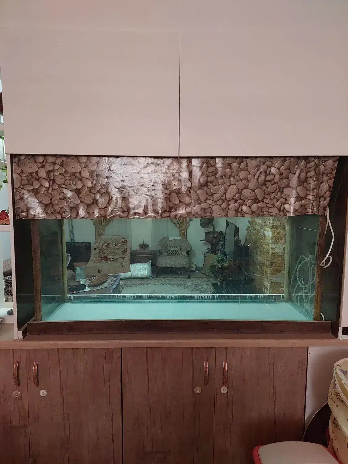 آکواریوم|ماهی|امیدیه, |دیوار