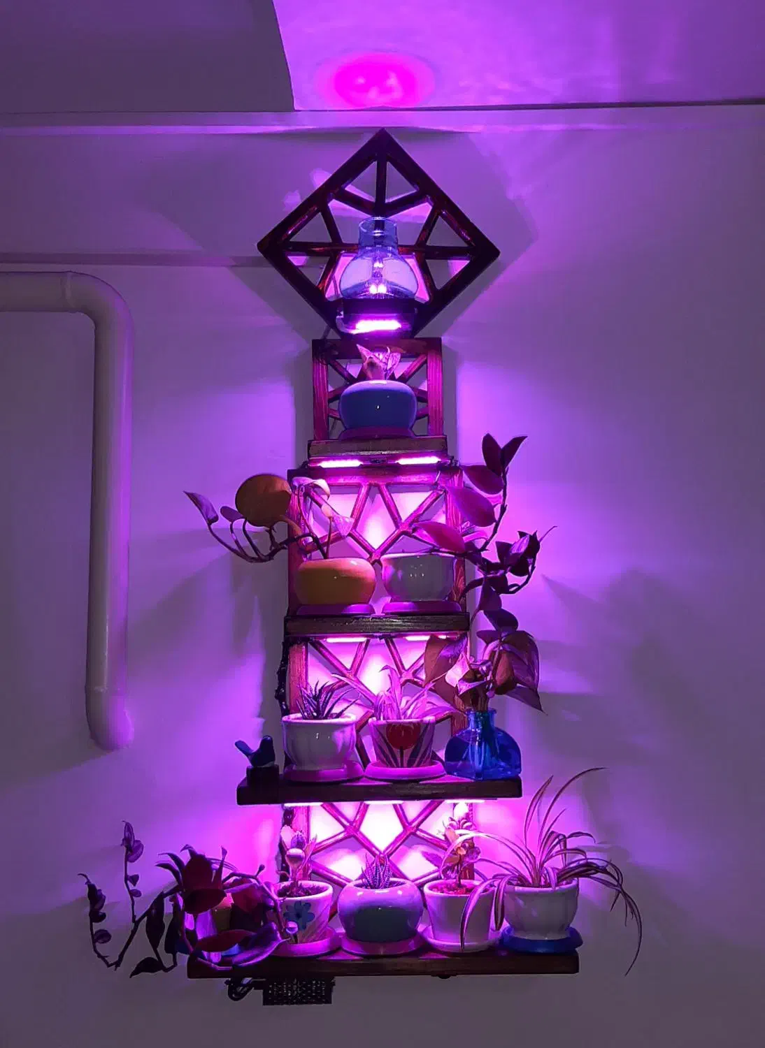 شلف دیواری چوبی طرح سنتی همراه چراغ|کتابخانه، شلف، قفسههای دیواری|تبریز, |دیوار