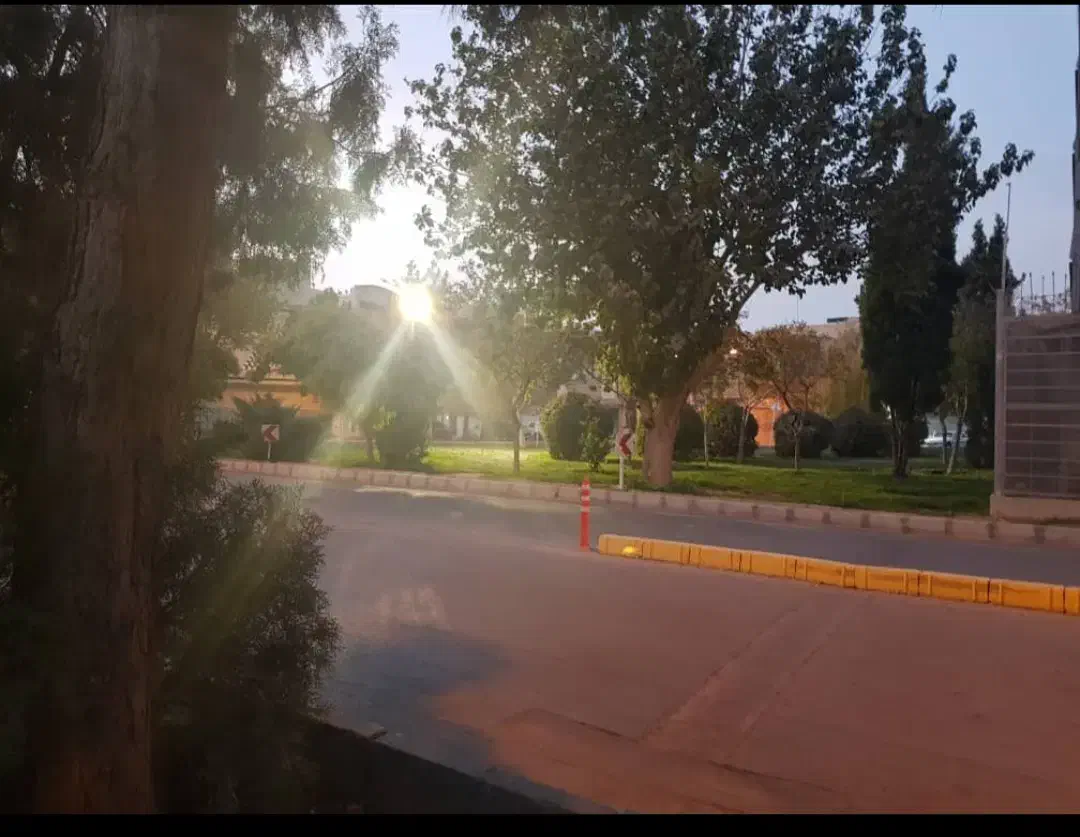 ملک بر جهت مشاغل خدماتی|اجارهٔ دفتر کار، اتاق اداری، مطب|شاهین‌شهر, سعدی شمالی|دیوار