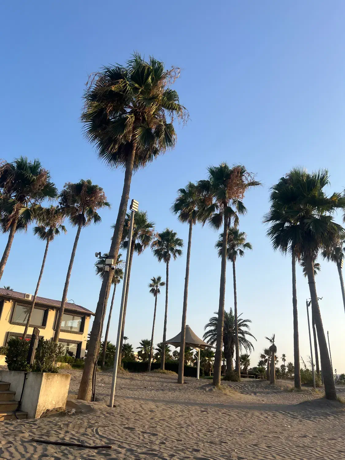 ویلا دوبلکس 570 متری در شهرک ساحلی خانه دریا|فروش خانه و ویلا|سرخرود, |دیوار