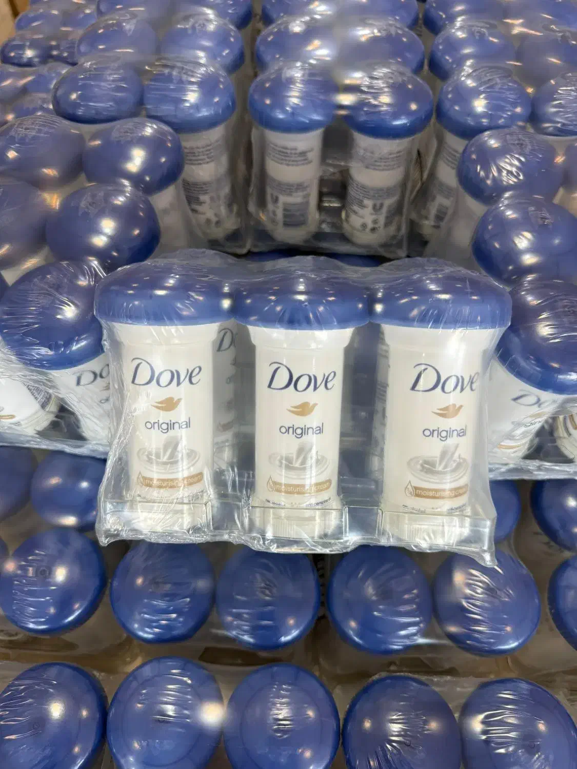 پخش سراسری جلفا|مواد شوینده و دستمال کاغذی|ساری, |دیوار