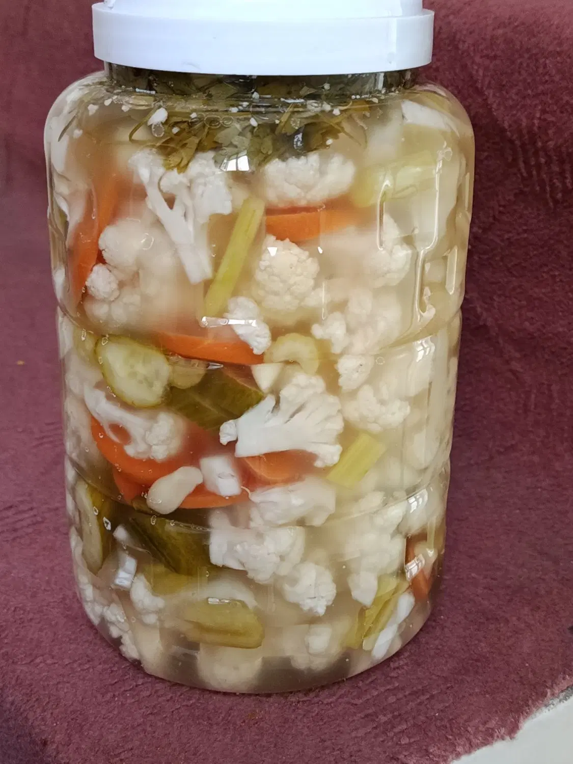 ترشی خانگی|خوردنی و آشامیدنی|تهران, خانی آباد نو شمالی|دیوار