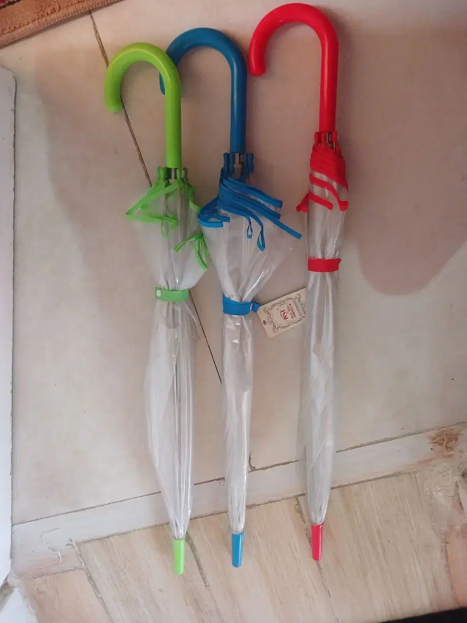 چتر شیشه ای|کوهنوردی و کمپینگ|ری, علایین|دیوار