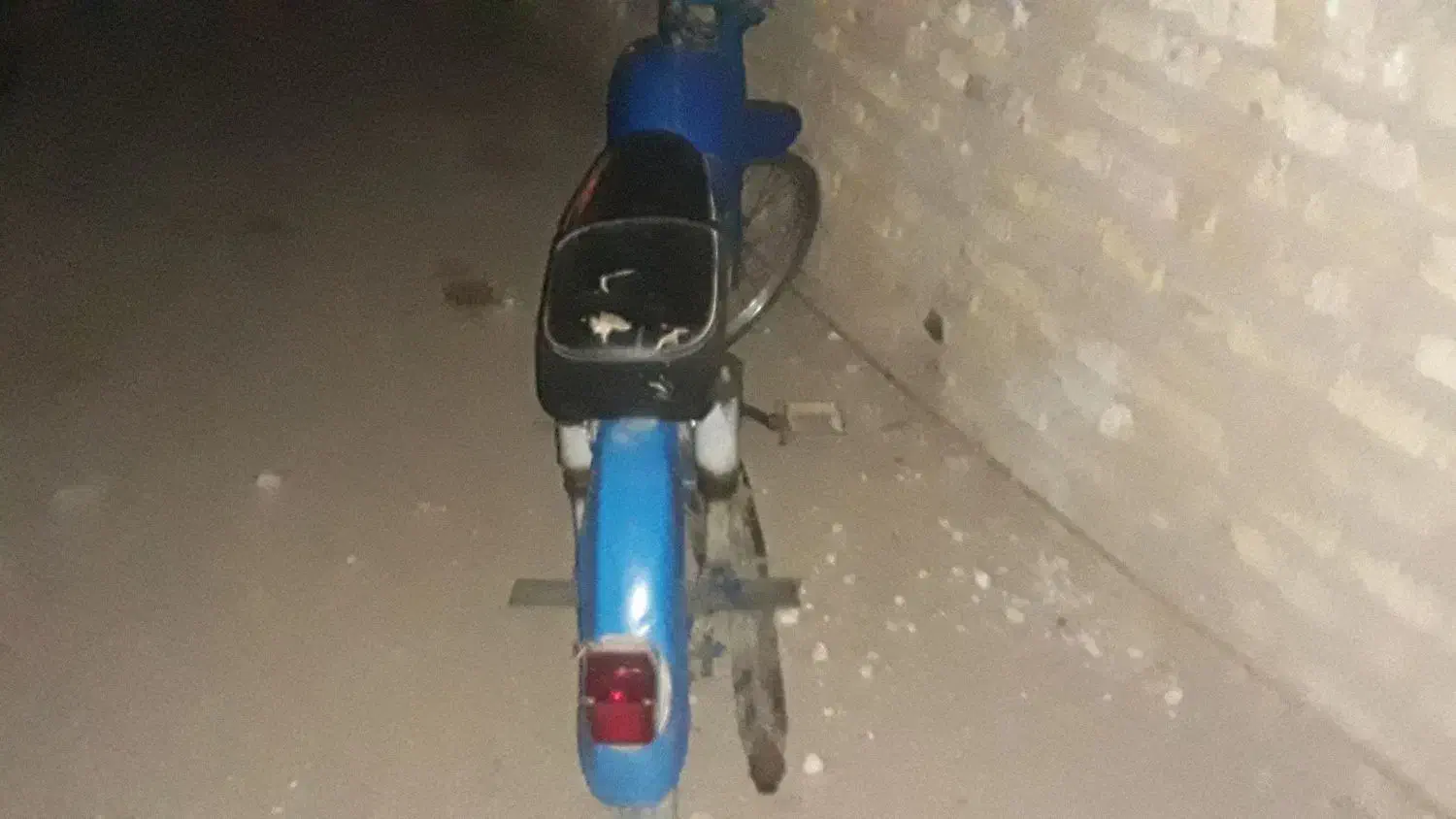 با سلام متور رکس هست|موتورسیکلت|اقبالیه, |دیوار