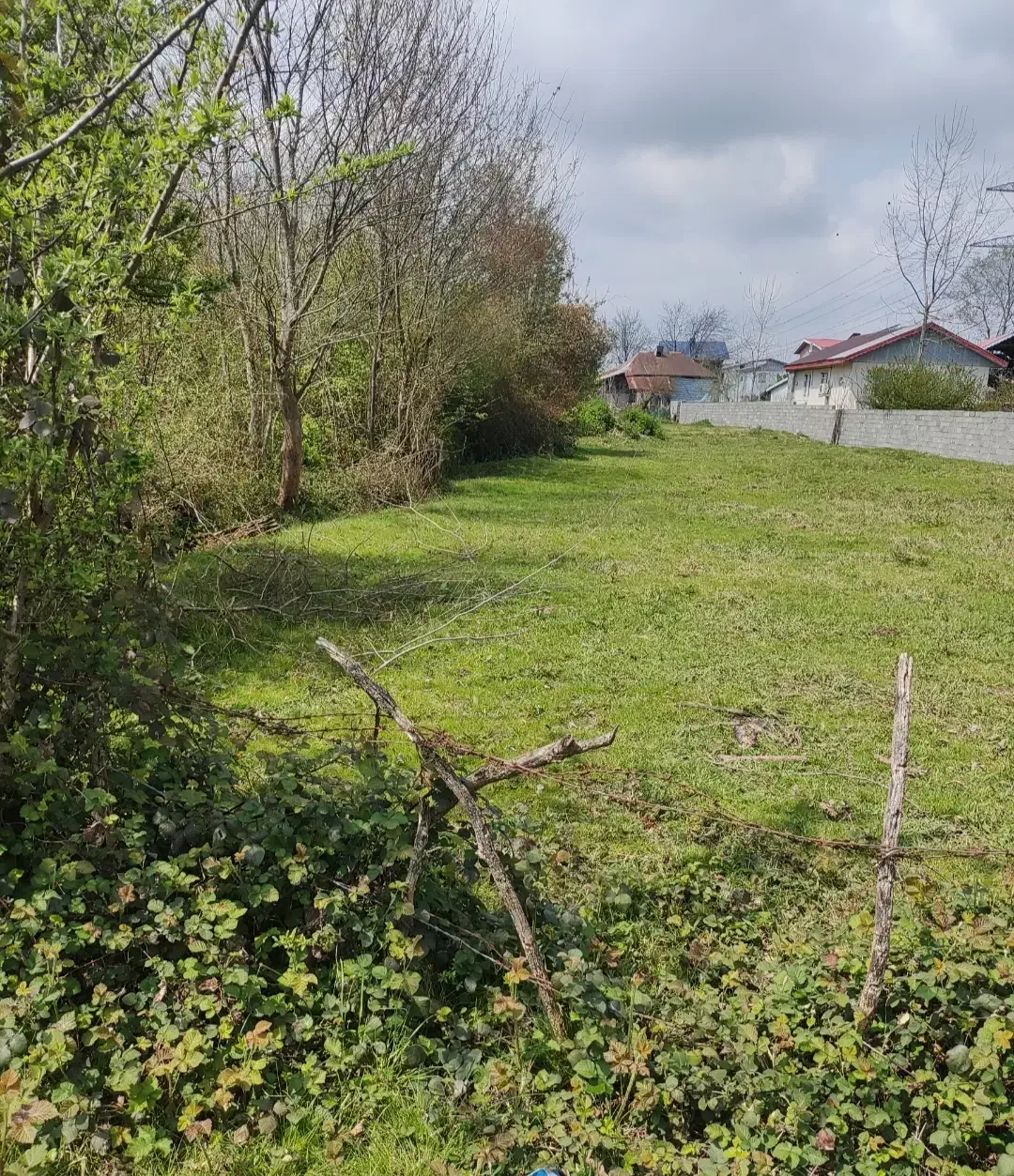 300مترزمین مسکونی دونبش سیاهکل محله|فروش زمین و ملک کلنگی|سیاهکل, |دیوار