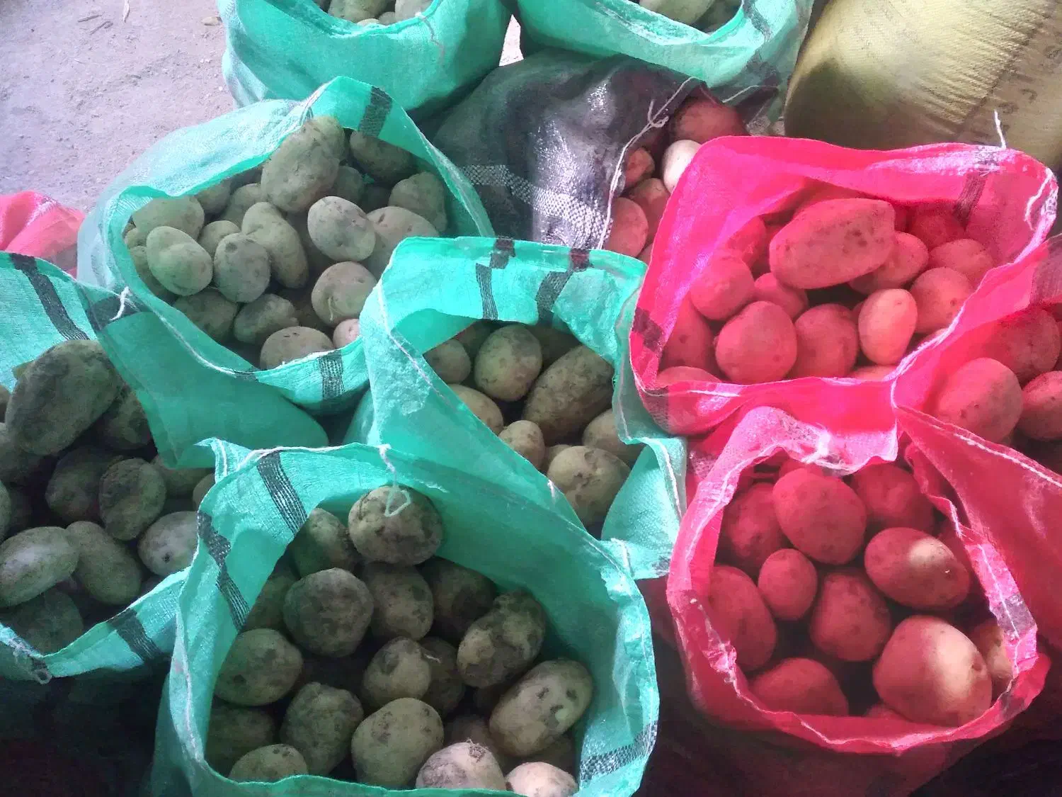 بذر جدید سایتا بذری وخواراکی عالی|خوردنی و آشامیدنی|داران, |دیوار