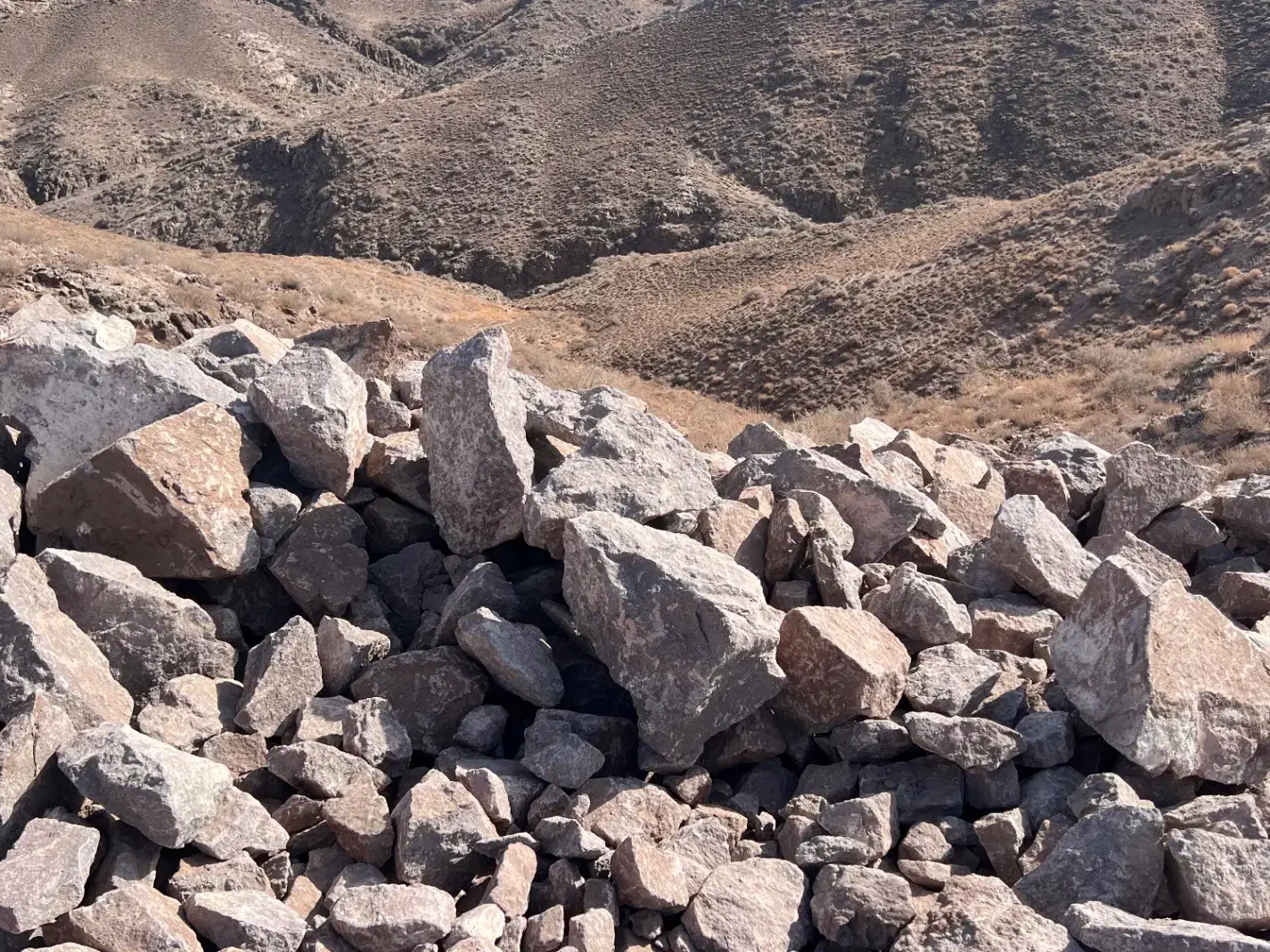 فروش مغزه و ماکادام|مصالح و تجهیزات ساختمان|لوشان, |دیوار