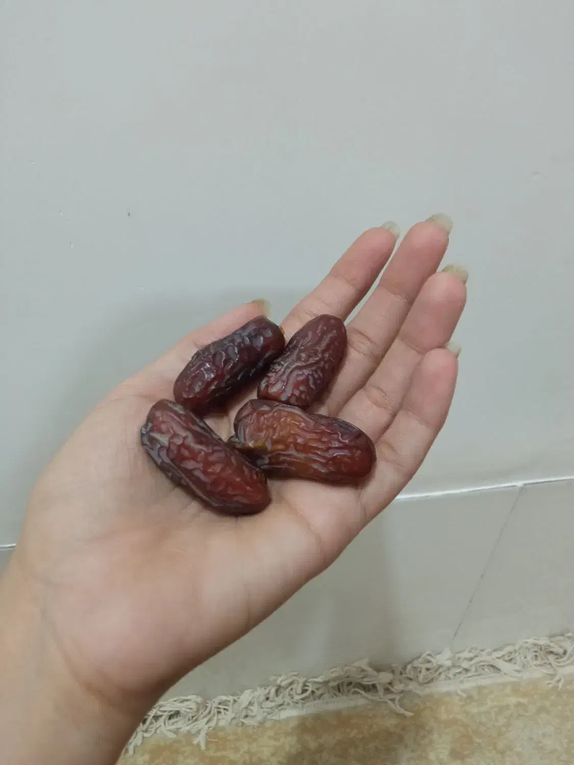 پیاروم|خوردنی و آشامیدنی|اوز, |دیوار