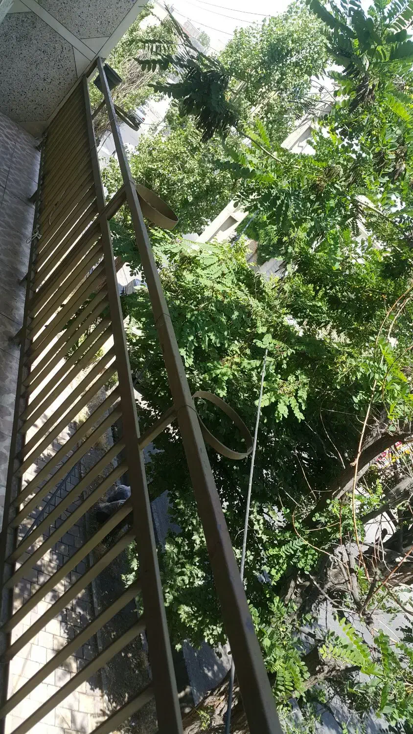 سوئیت سویت سوییت|اجارهٔ کوتاه‌مدت آپارتمان و سوئیت|مشگین شهر, |دیوار