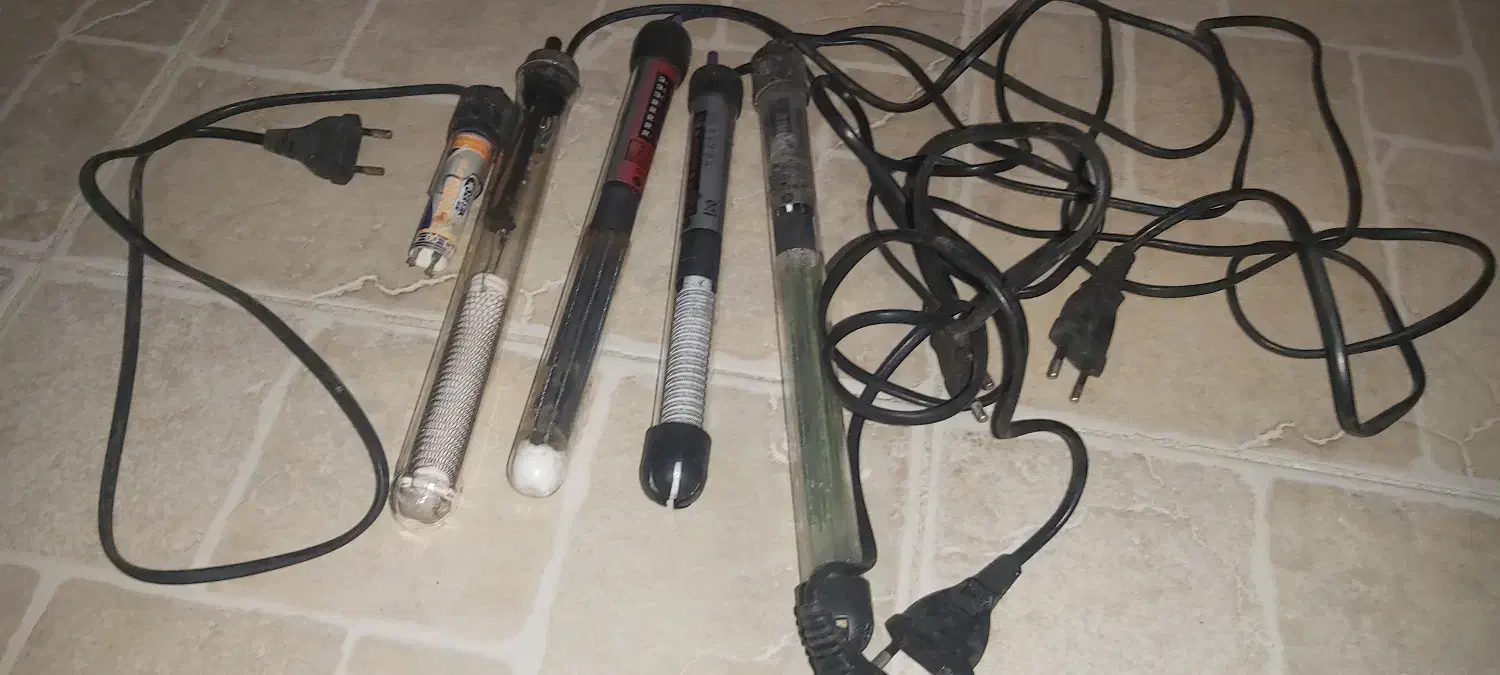 بخاری اکواریوم و سنگ مرجانی|ماهی|رشت, رودباری|دیوار