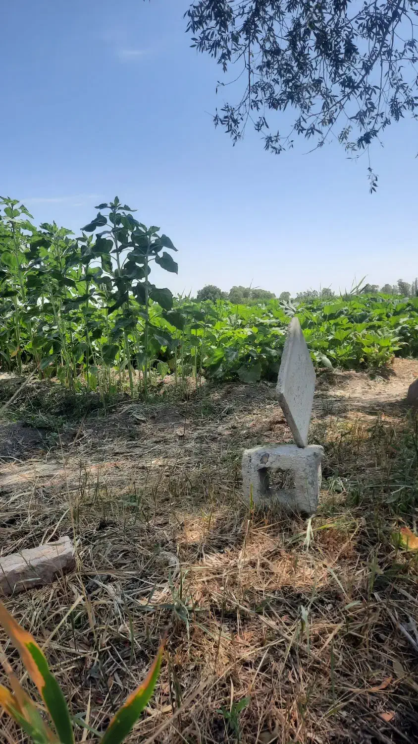 زمین زراعی مناسب برای گلخانه و دامداری|فروش دفتر صنعتی، کشاورزی، تجاری|ارومیه, |دیوار