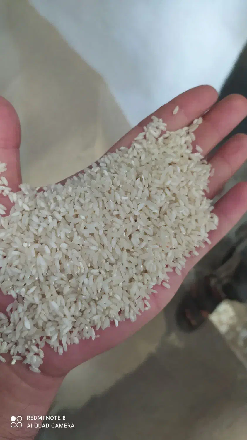 برنج عنبر بو عطری شوشتر|خوردنی و آشامیدنی|اصفهان, پارک خبرنگار|دیوار