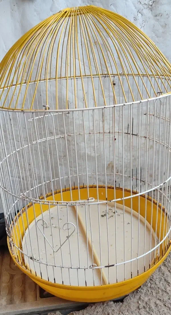 قفس پرنده|لوازم جانبی حیوانات|شاهرود (اردبیل), |دیوار