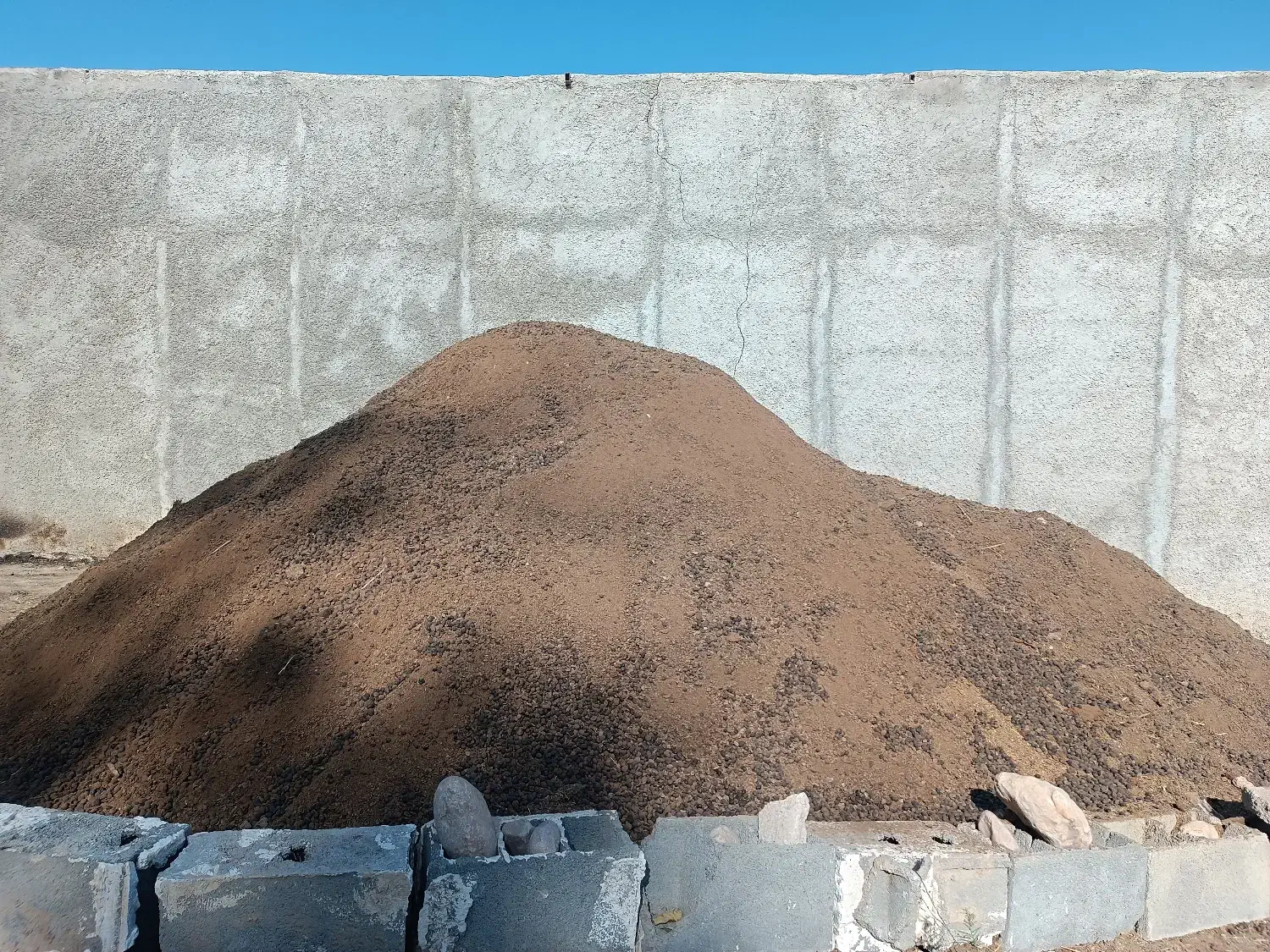 پوش گوسفندی|گل و گیاه طبیعی|قائم‌شهر, |دیوار