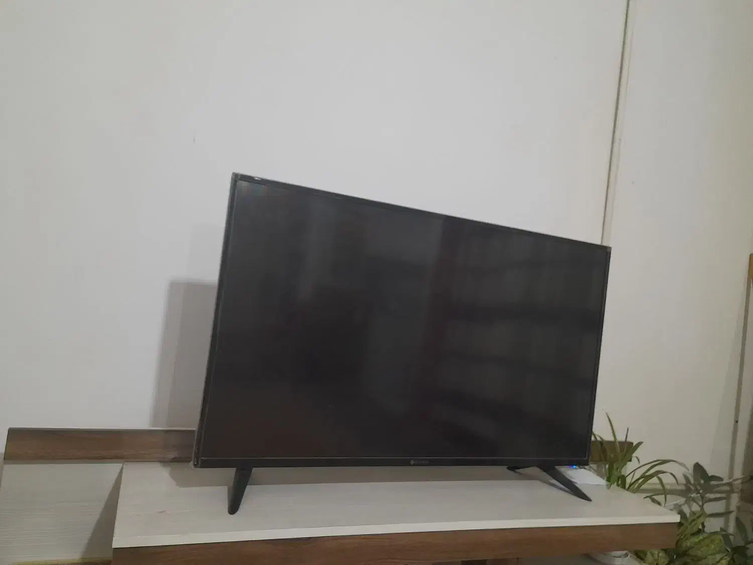 تلوزیون|تلویزیون و پروژکتور|مشهد, تلگرد|دیوار