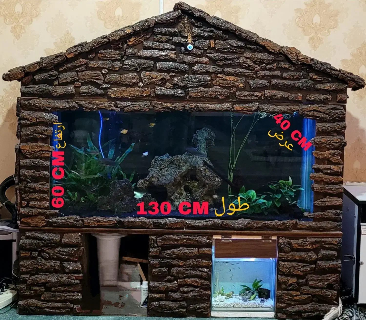 آکواریوم|ماهی|کرمانشاه, |دیوار
