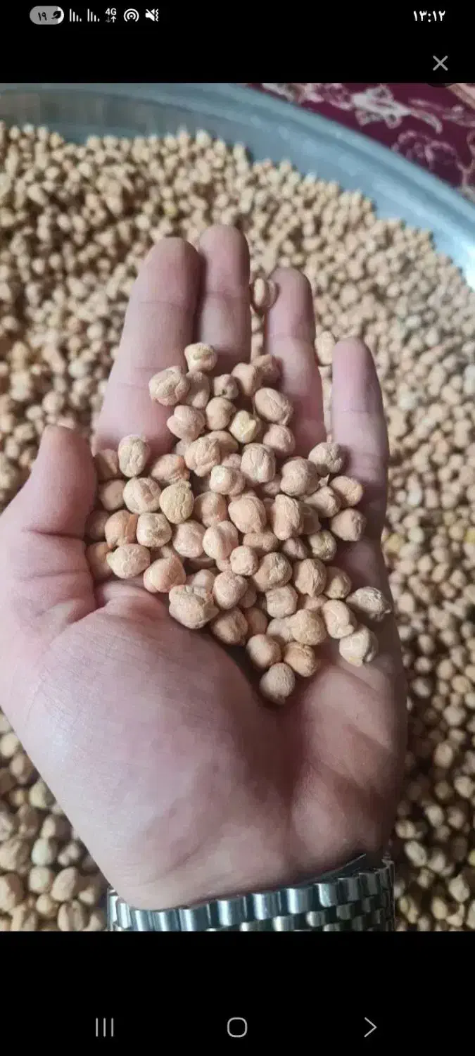 نخود|عمده‌فروشی|ملایر, |دیوار