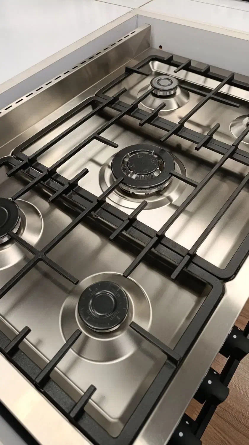 با گاز فر حرفه ای آشپزی کن،اقساط بلند مدت|اجاق گاز و لوازم برقی پخت‌وپز|اندیمشک, |دیوار