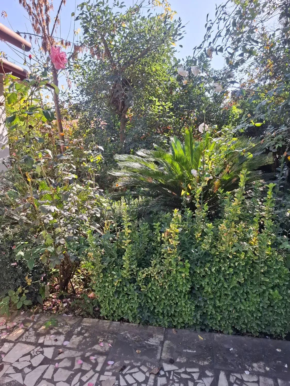 ویلا داخل شهرک ساحلی فول مبله|اجارهٔ خانه و ویلا|رویان, |دیوار