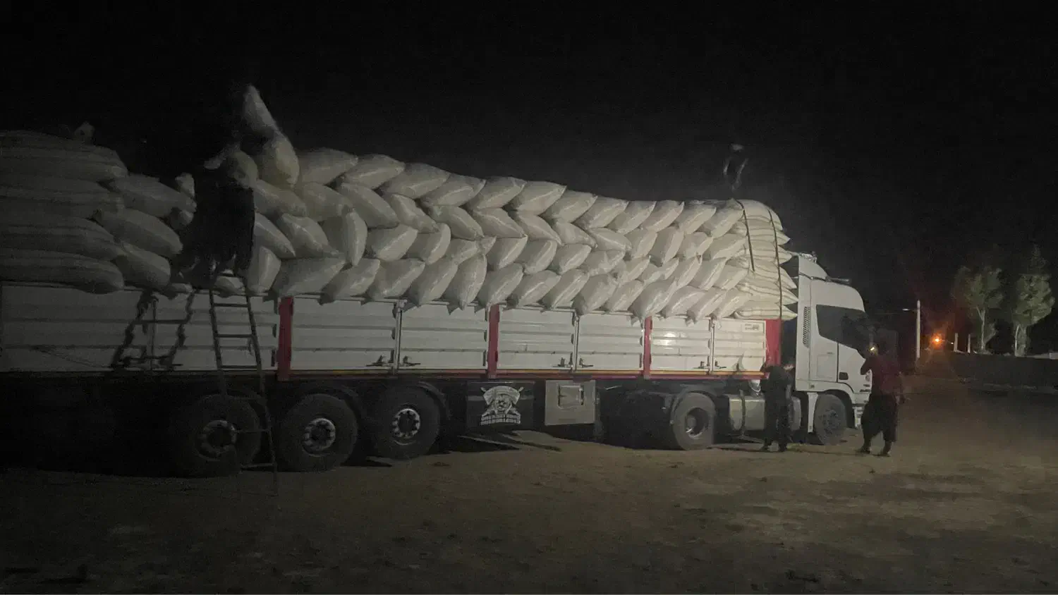 انواع کاه دیم گندم نخود عدس|لوازم جانبی حیوانات|شیراز, ابیوردی|دیوار