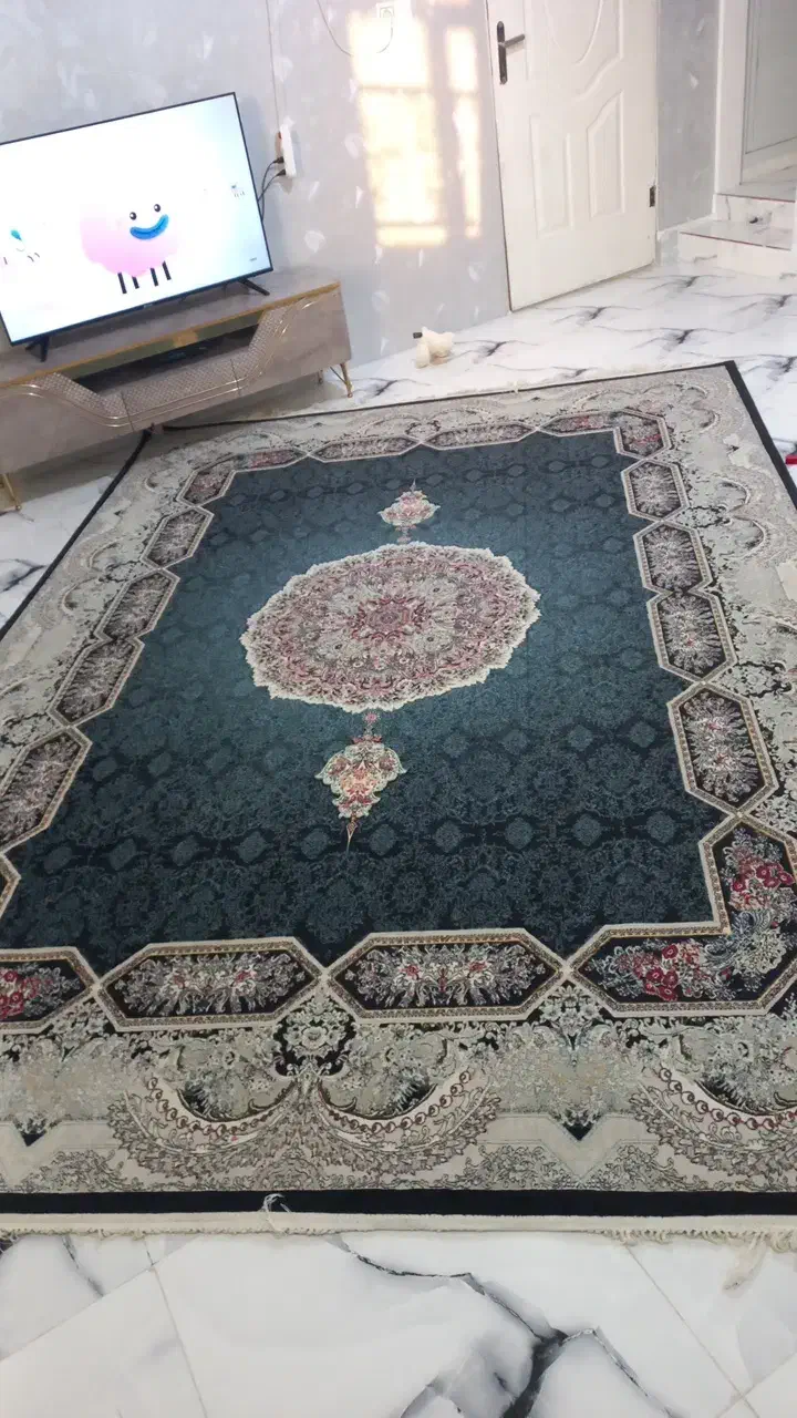 پرده و فرش|فرش|اشتهارد, |دیوار