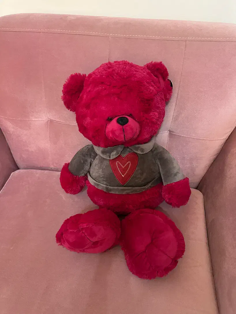 عروسک،خرس،ولنتاین،عروسک پولیشی،سیسمونی|اسباب‌‌بازی|تهران, پرستار|دیوار