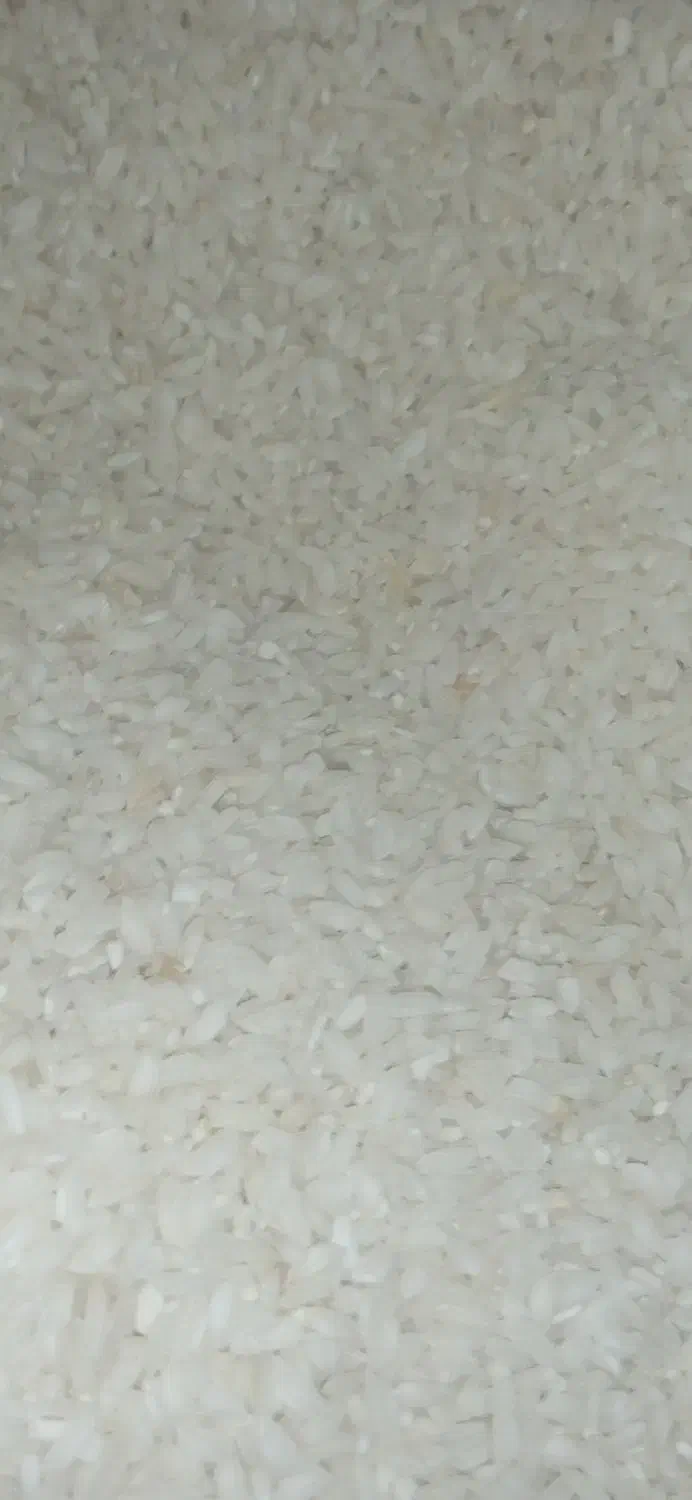 برنج عنبربو ایرندگان تازه و خوشعطر|خوردنی و آشامیدنی|ایرانشهر, |دیوار