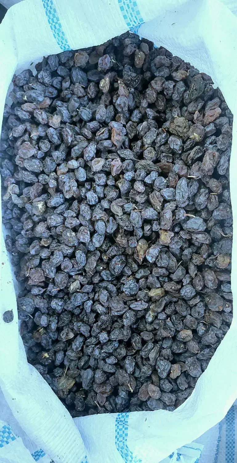 مویز کشمش شیره|عمده‌فروشی|شیراز, شهرک فرزانگان|دیوار