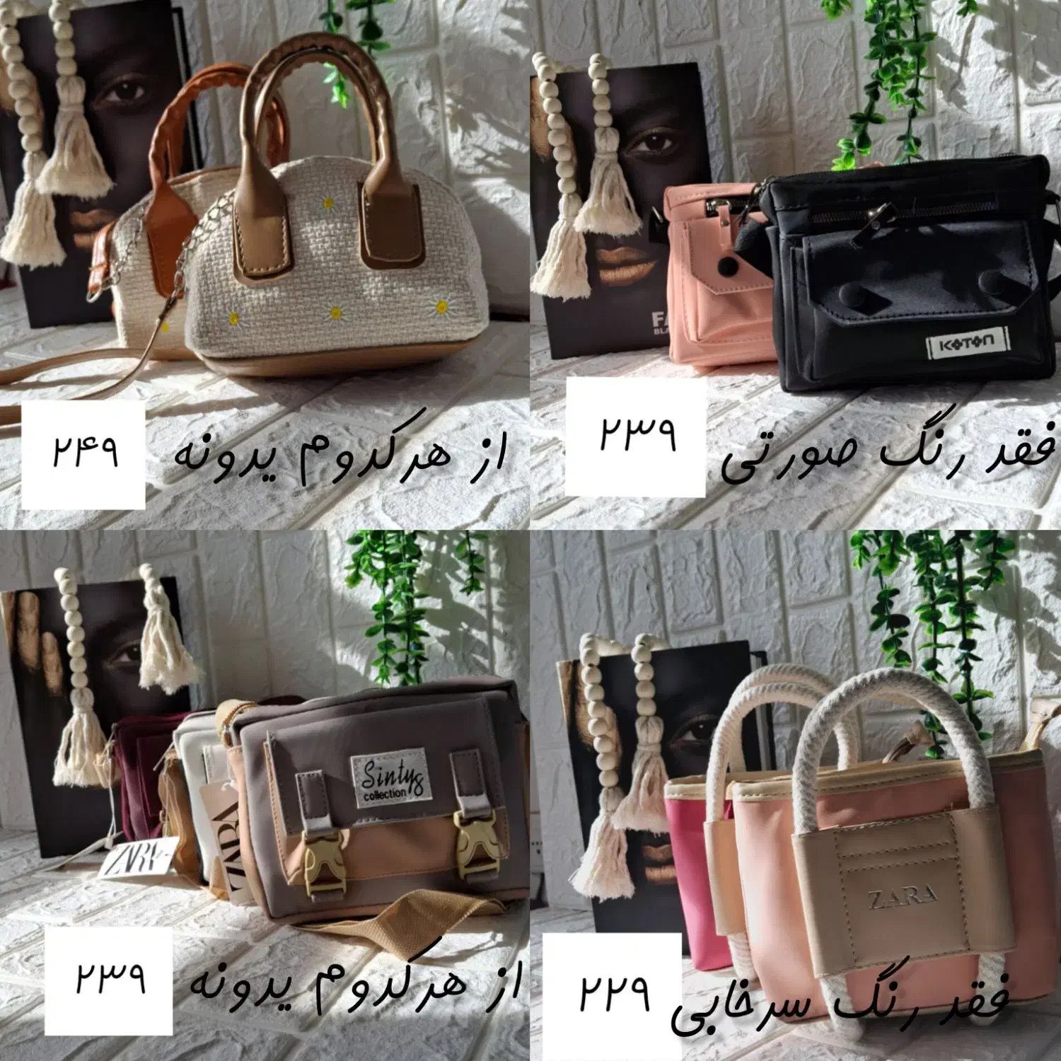 کیف|کیف، کفش، کمربند|پاسارگاد, |دیوار