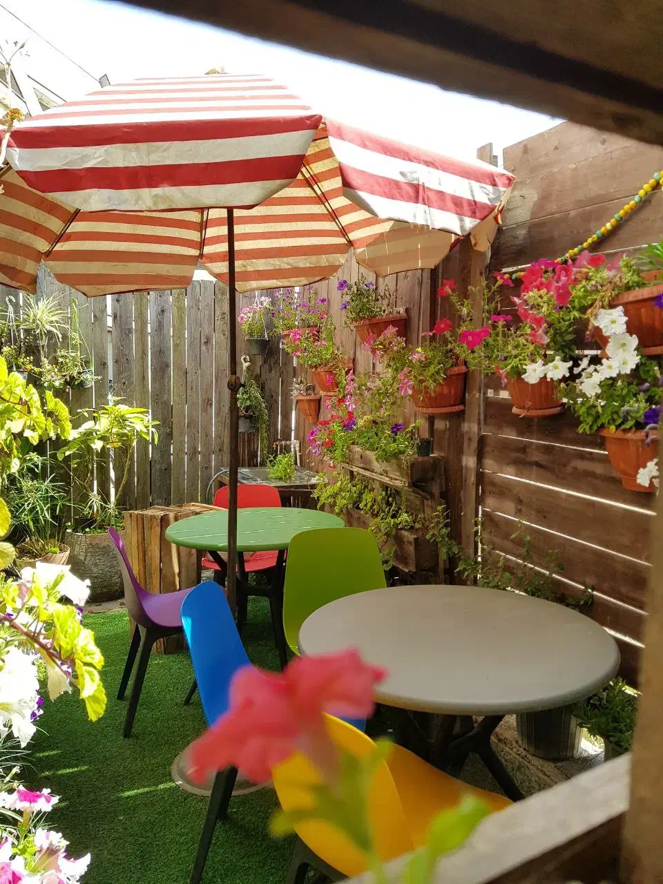 میز و صندلی پلیمری با دوام|میز و صندلی غذاخوری|بندر انزلی, جفرود پایین|دیوار