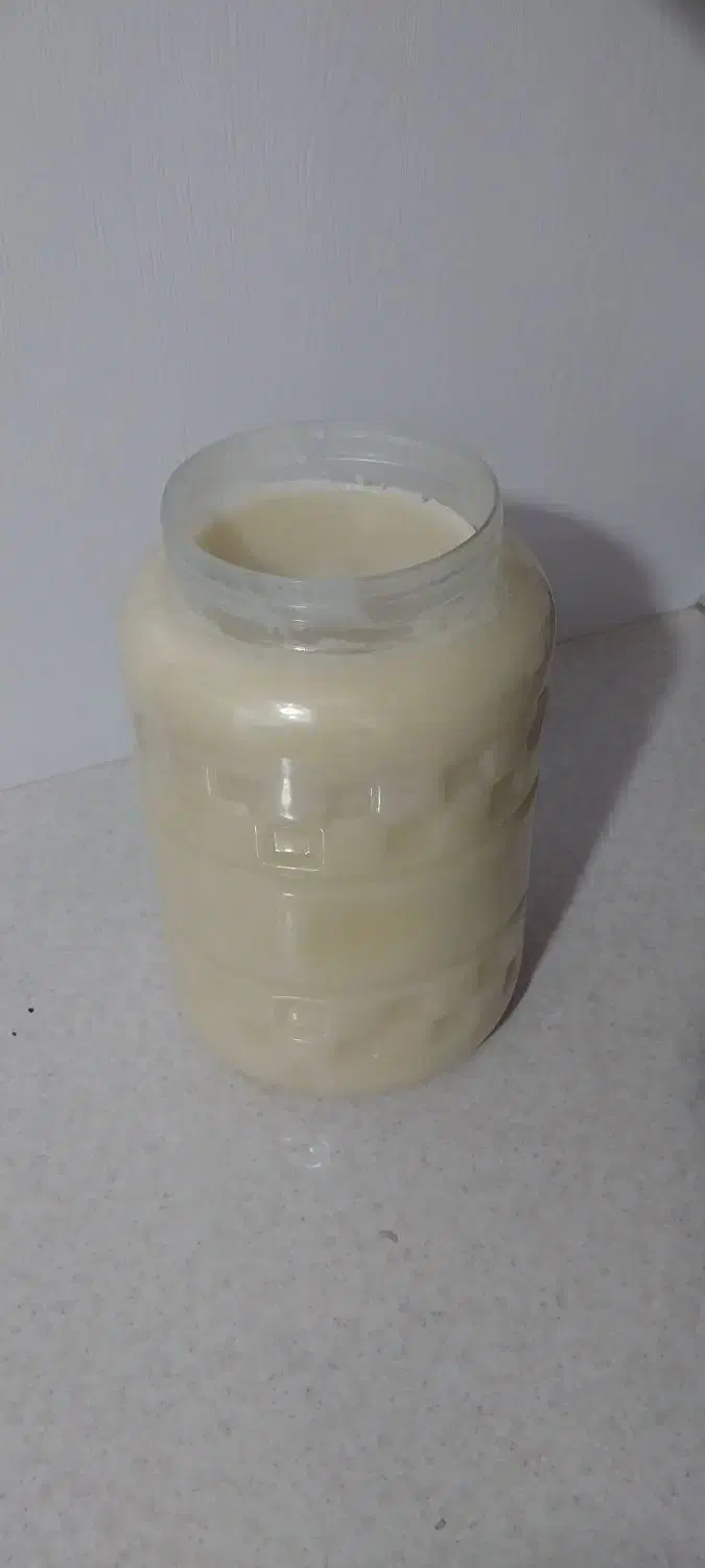 روغن گوسفند|خوردنی و آشامیدنی|مهریز, |دیوار