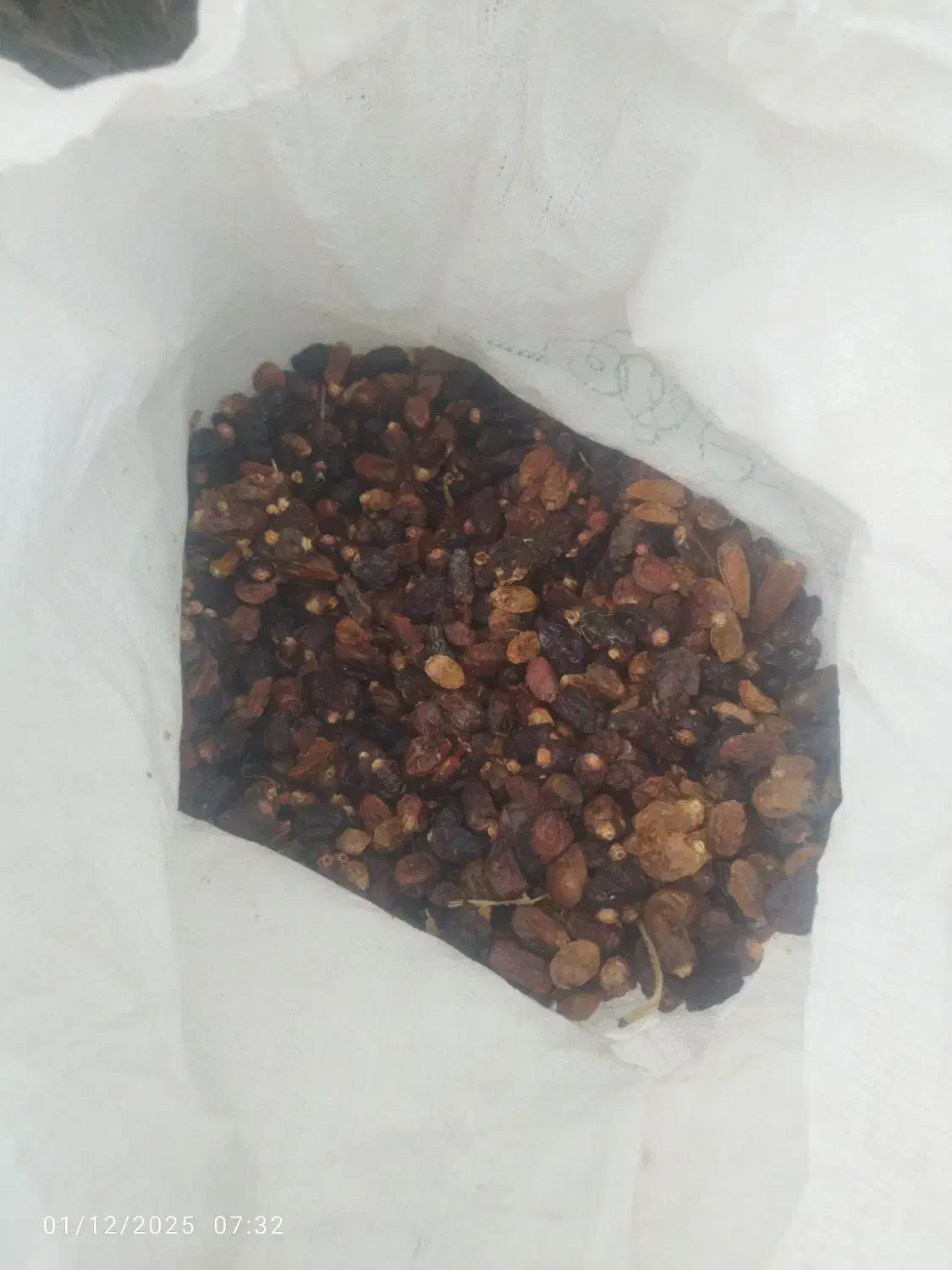 فروش خرما خشک (کرنگ،کنگا) مخصوص دام|لوازم جانبی حیوانات|اشکنان, |دیوار