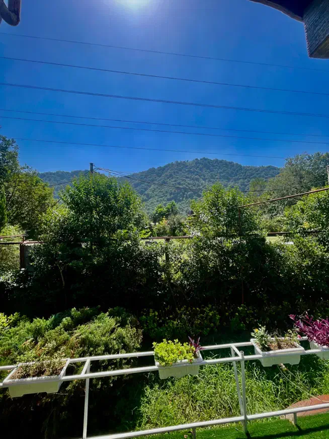 اقا یا خانم جهت نظافت مجتمع اقامتی ونظافت محوطه|استخدام سرایداری و نظافت|لاهیجان, لیالستان|دیوار