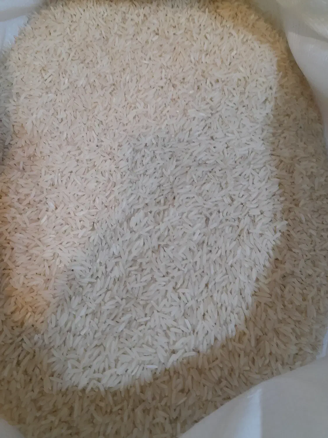 برنج چای وروغن زیتون ایرانی زیر قیمت بازار|خوردنی و آشامیدنی|خوی, |دیوار