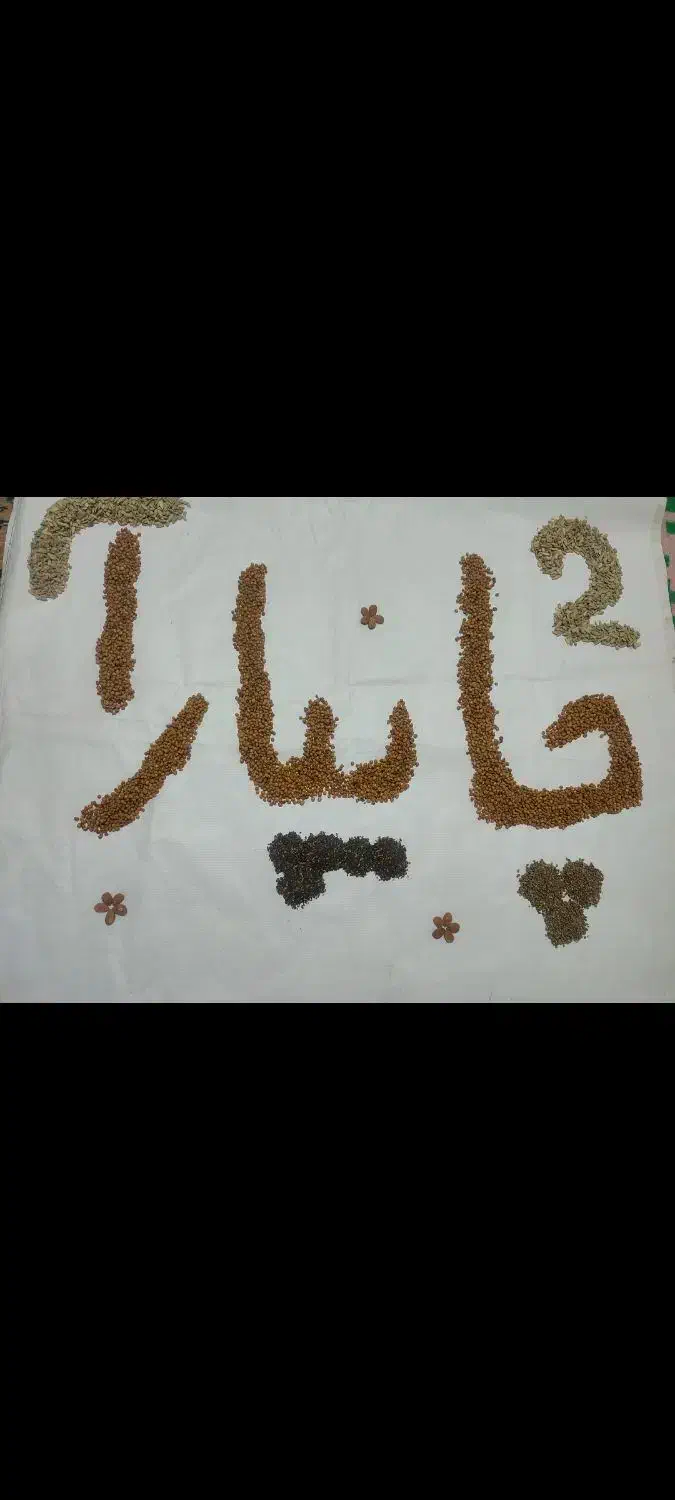 سنجد.تخمه.کشمش.گردو کاغذی. قاوورقا|عمدهفروشی|قره ضیاالدین, |دیوار