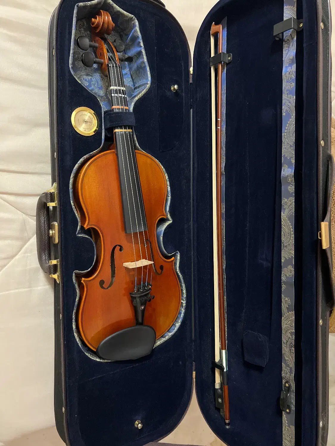 ویولنtf00800|ویولن|ساری, |دیوار