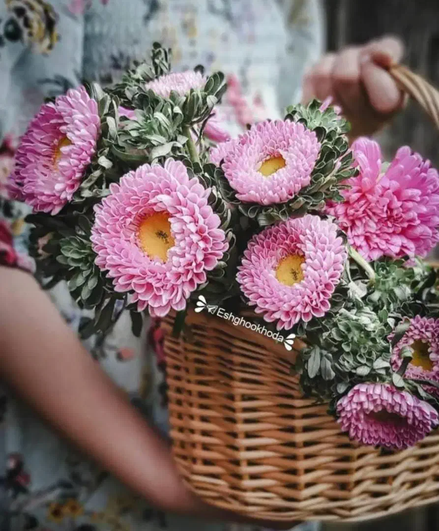 مشاوره مهندسی مواد|خدمات آموزشی|تهران, فردوس|دیوار