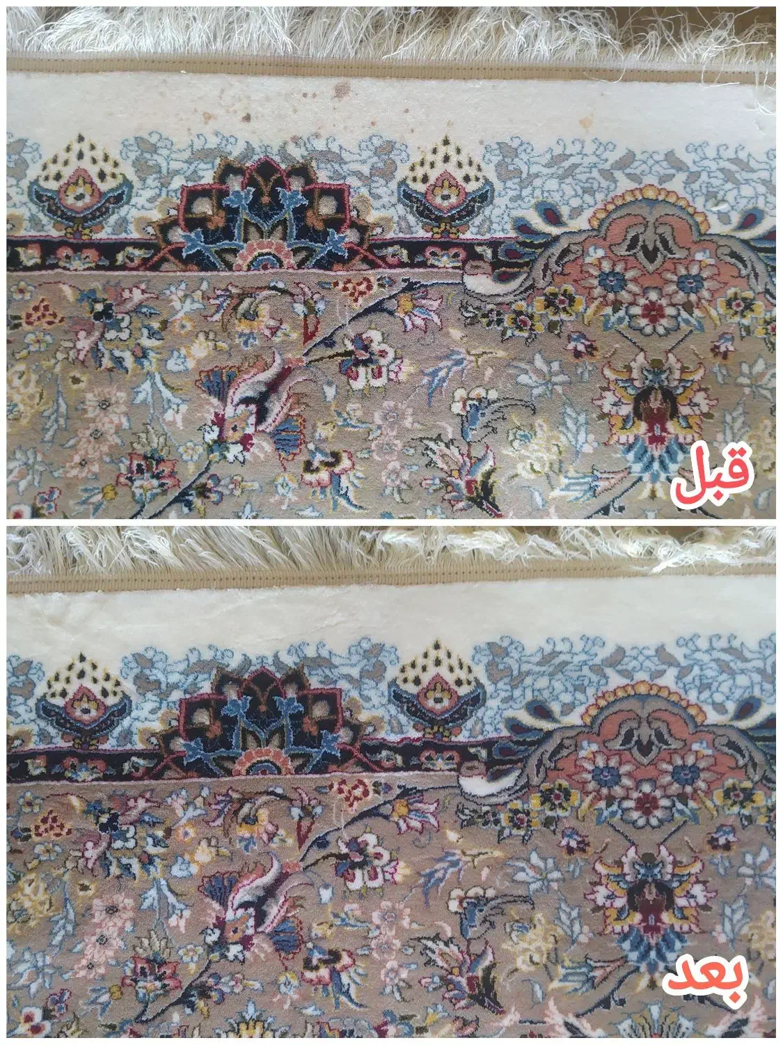 قالیشویی گشاوه|خدمات نظافت|نمشیر, |دیوار