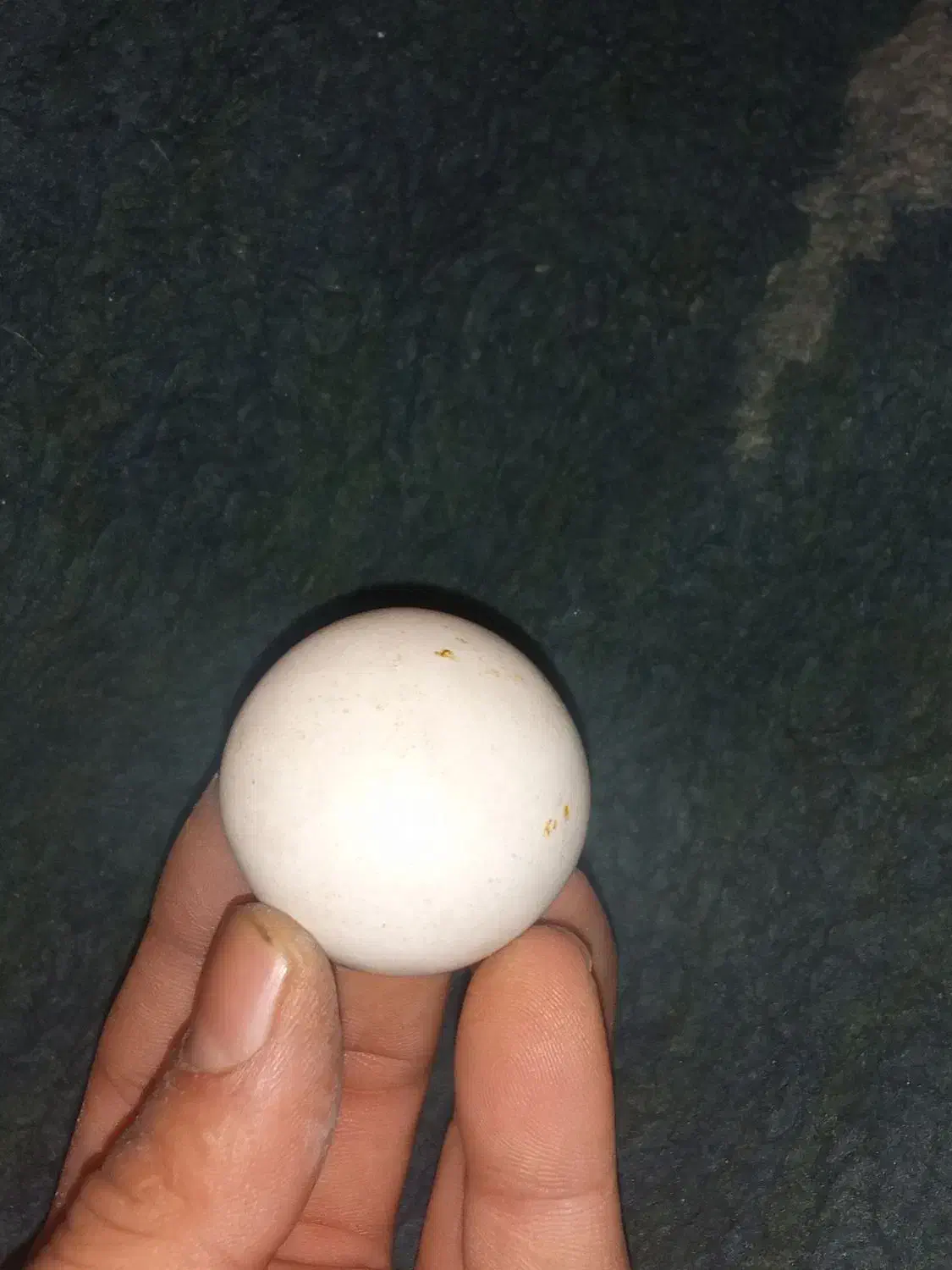 سنگ اسیاب اصل|کلکسیون اشیاء عتیقه|کرمان, |دیوار