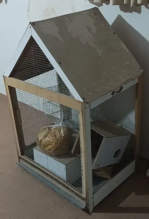 قفس پرنده|لوازم جانبی حیوانات|قوچان, |دیوار