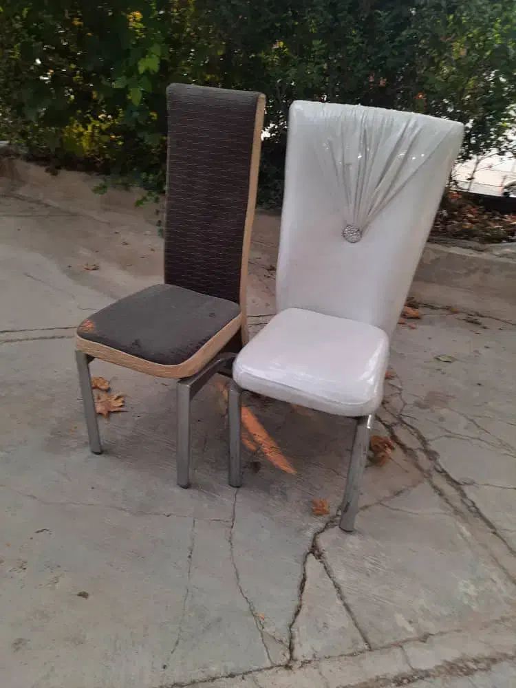 فروش صندلی مجلسی در حد نو|میز و صندلی غذاخوری|شیراز, انجیره|دیوار