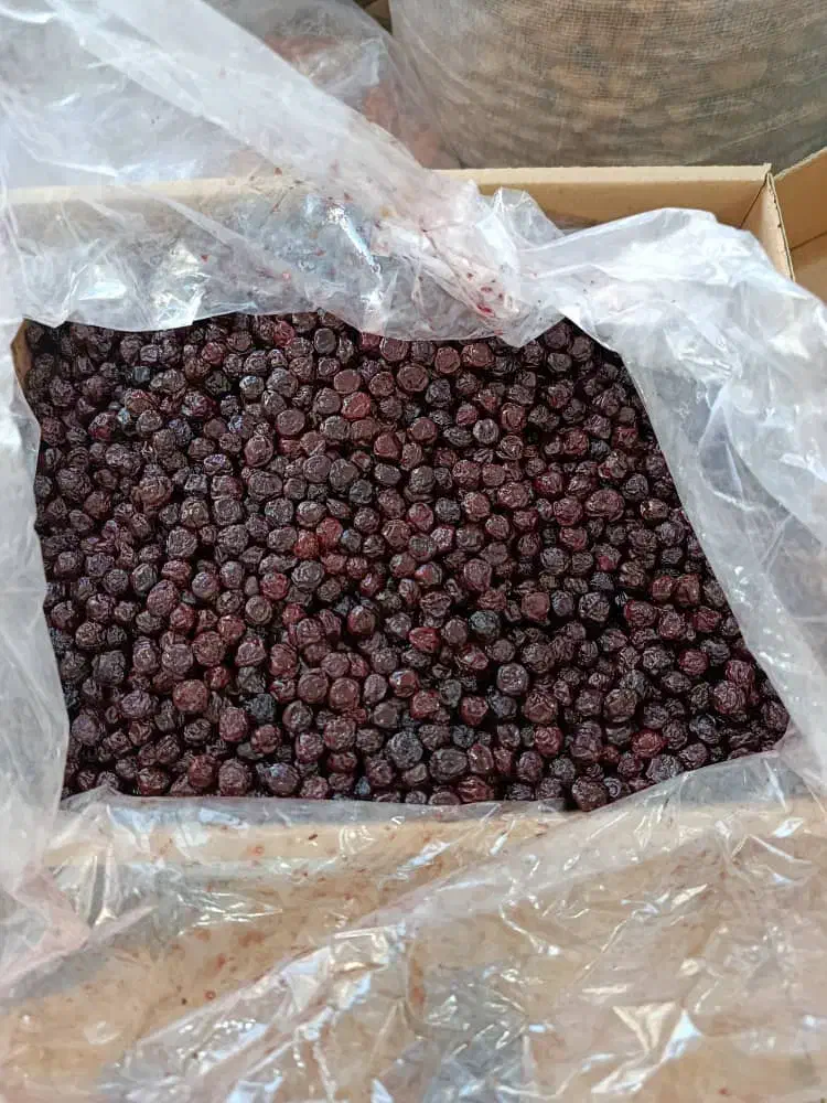 خشکبار درجه یک واعلا غرب کشور|خوردنی و آشامیدنی|عسلویه, |دیوار